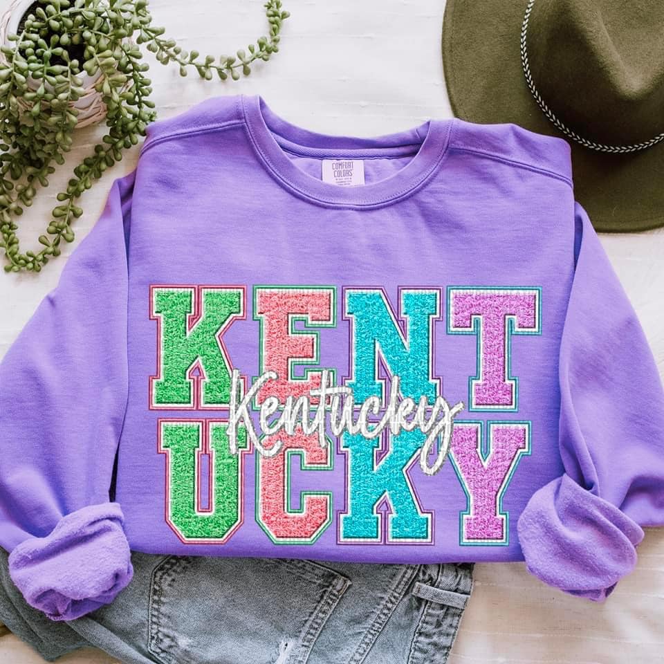 Faux Embroidered Comfort Color sweatshirts (All States Available)